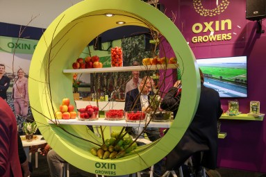 Messestand mit verschiedenen Früchten darauf präsentiert