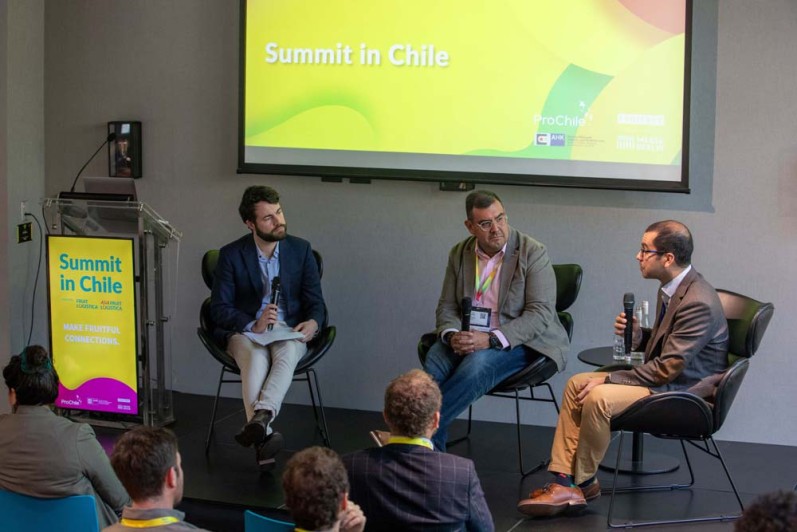 A woman gives a talk at the Chile Summit