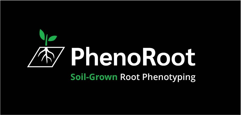 PhenoRoot_Logo