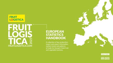 Cover of the European Statistics Handbook 2025 from FRUIT LOGISTICA with a green background, Europe map, and fruit and vegetable trade info.