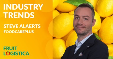 The video shows an interview with Steve Alaerts of leading logistics consultancy Foodcareplus with Fruitnet's Michael Barker.