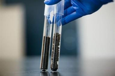  Two test tubes with soil samples are held by a hand with a blue glove