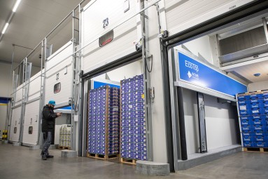 Cool boxes with open gates can be seen in a hall. There are pallets of fruit in the boxes and a man is checking them.