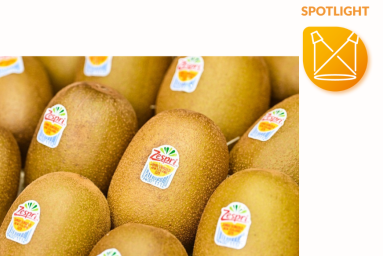 Kiwis lie next to each other. They are labeled with the compostable fruit label T55 from Sinclair