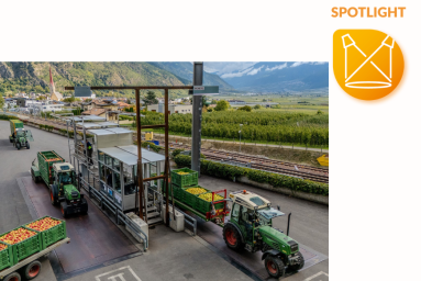 Tractors with trailers loaded with fruit are parked in a valley. They are weighed at a station