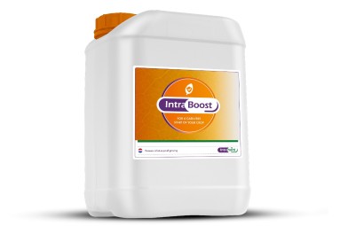 Intrahorti obtains the active ingredient for its new Intra Boost biostimulant from willow bark. It increases plant resilience and reduces the need for pesticides.