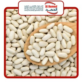 The Egyptian company Elhamd for Import and Export has established itself as a reliable partner for trading, sorting and packaging white beans, broad beans and sesame seeds.