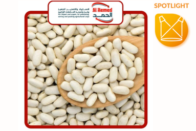 The Egyptian company Elhamd for Import and Export has established itself as a reliable partner.