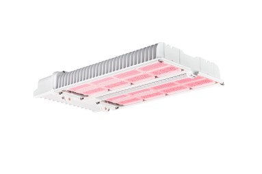 The Philips GreenPower LED toplighting force 2.0 achieves a light output of up to 5150 µmol/s. Its high light efficiency helps reduce investment costs and increase yields. 