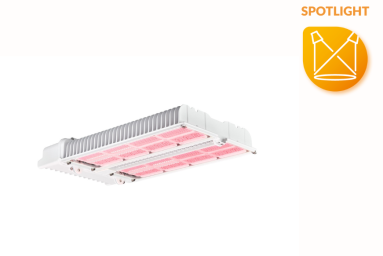 The Philips GreenPower LED toplighting force 2.0 achieves a light output of up to 5150 µmol/s. 