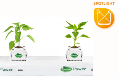 The new cultivation system from Van der Knaap produces resilient pepper plants.