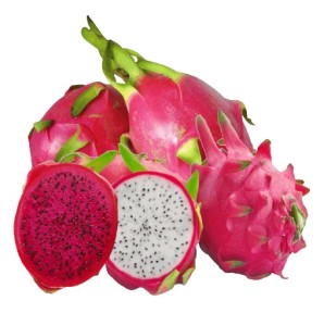 The dragon fruit is part of Golden Bee's broad product range. The company is exhibiting at FRUIT LOGISTICA 2025.